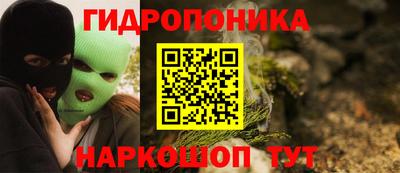 шишки Краснокаменск